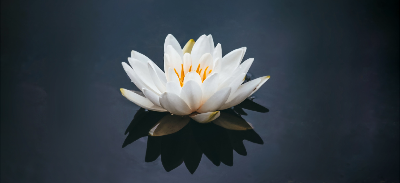 immagine Sensorial Holistic - Trattamenti e massaggi olistici a Pesaro