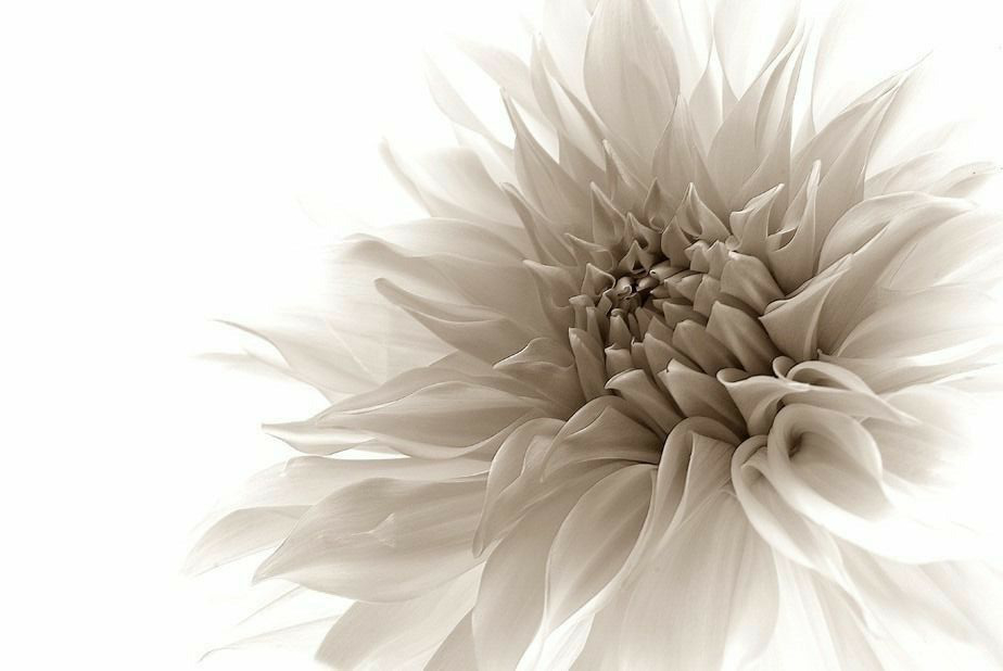 immagine Centro Estetico Pesaro: il luogo dedicato al benessere e alla bellezza